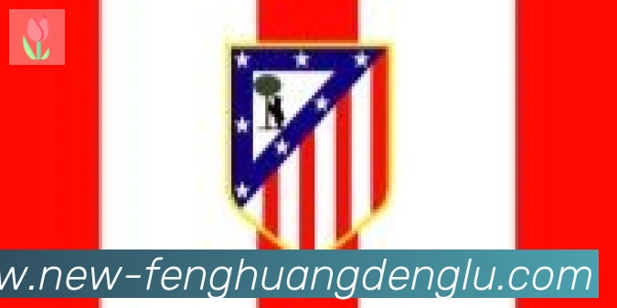 凤凰彩票登录入口合作伙伴